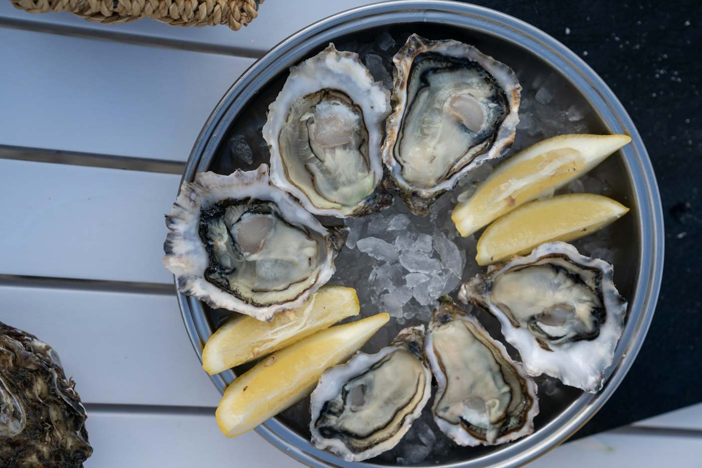 Sligo_Oyster_Experience