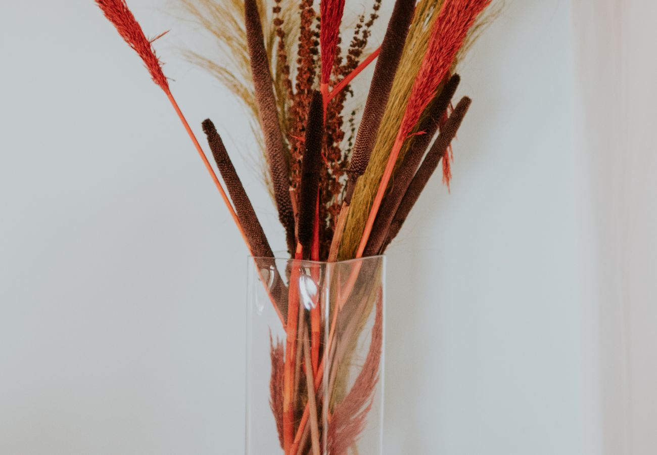 Family-Friendly Holiday Homes in Sligo 