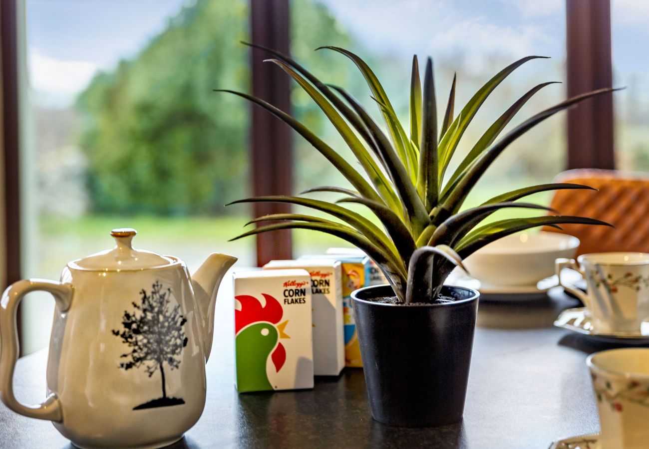 Family-Friendly Holiday Homes in Sligo 