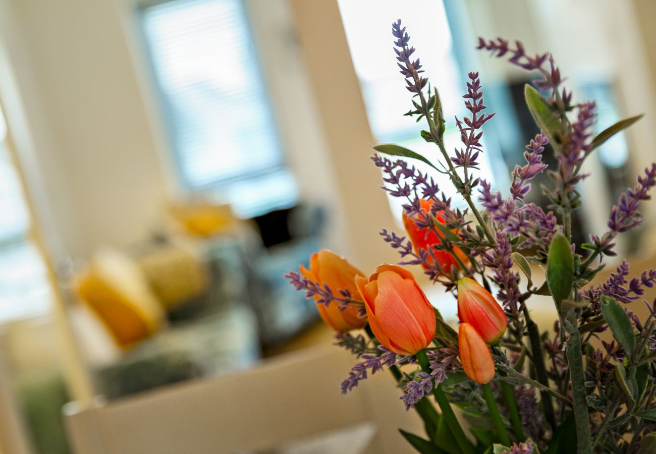 Family-Friendly Holiday Homes in Sligo 